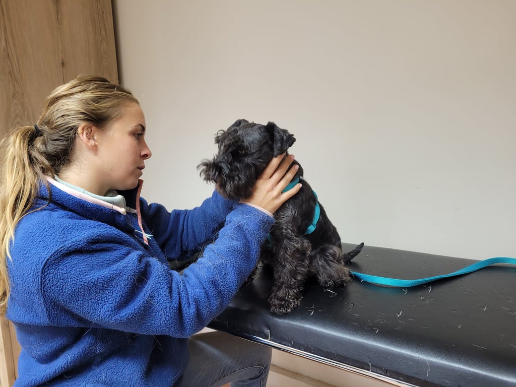 Trudi chez son ostéopathe