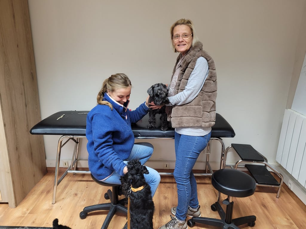 Les Diamants chez leur ostéopathe