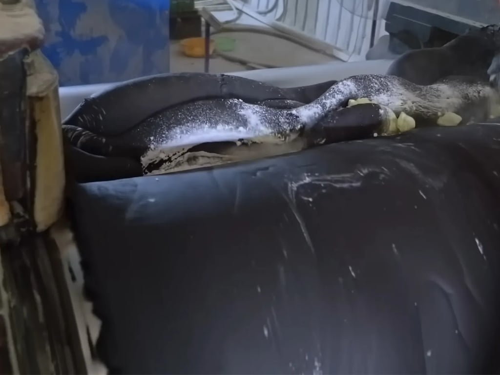 Odor control additives blended into rubber compounds during manufacturing