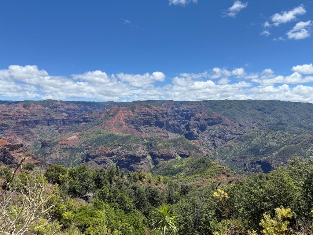 Waimea canyon hiking trail kauai