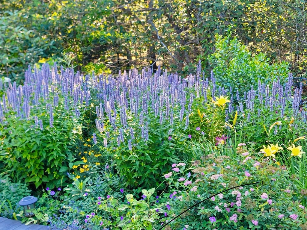 Earthandback - Springs