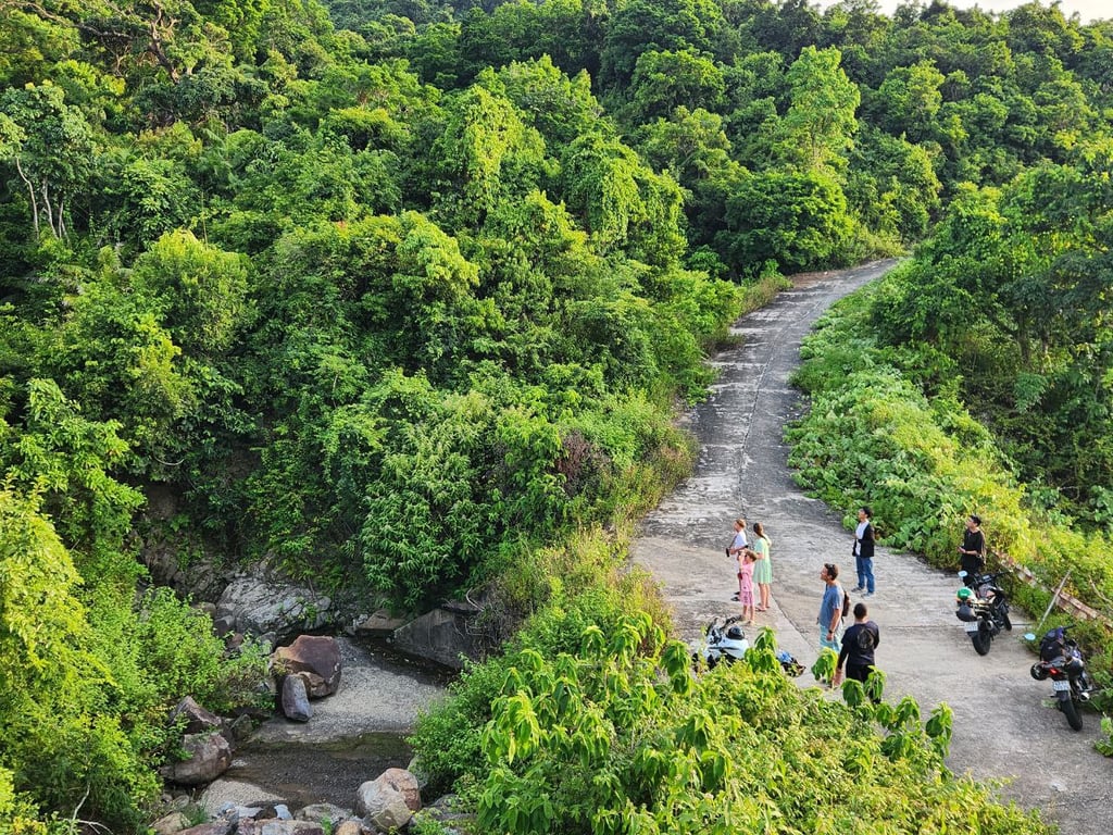 Customers enjoy watching langur with beautiful landscape on Son Tra. Da Nang.
