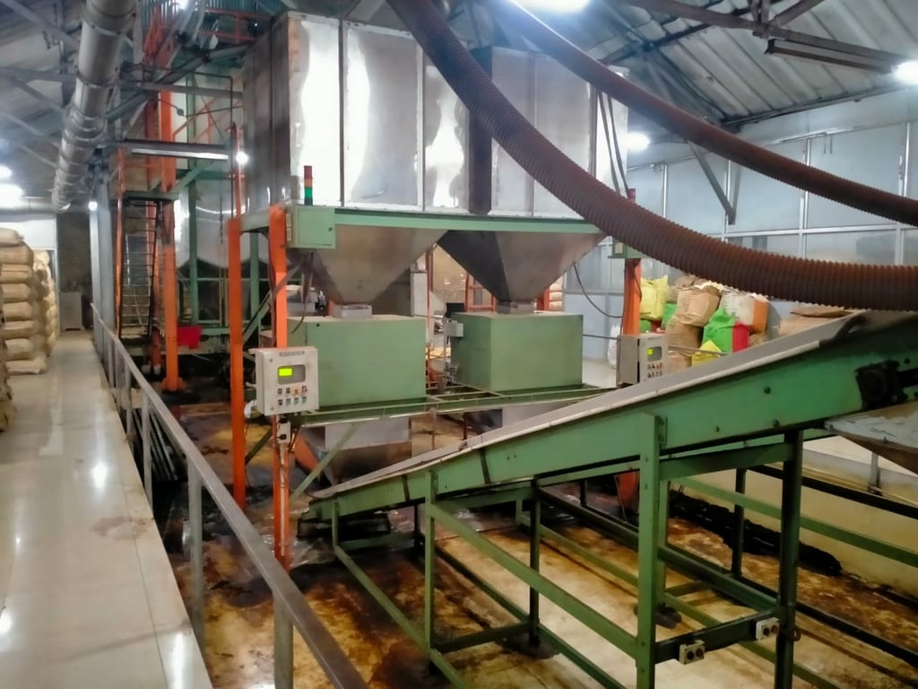 Bir Global™ Group Export