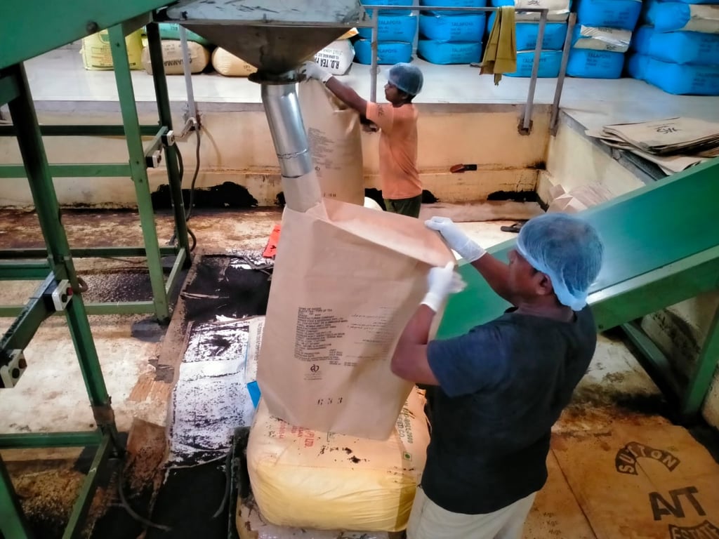 Bir Global™ Group Export