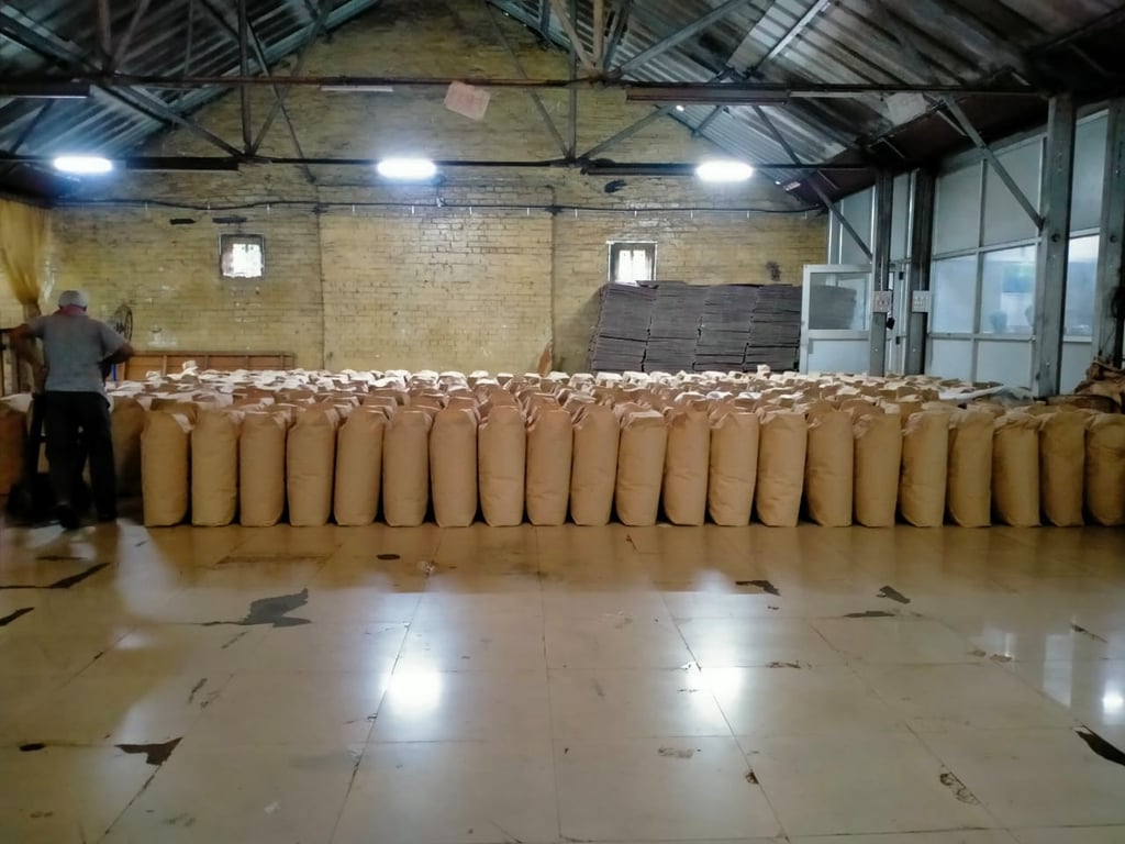 Bir Global™ Group Export