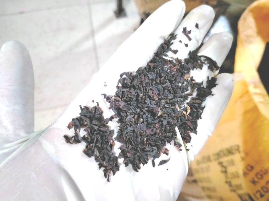 Bir Global™ Group Export