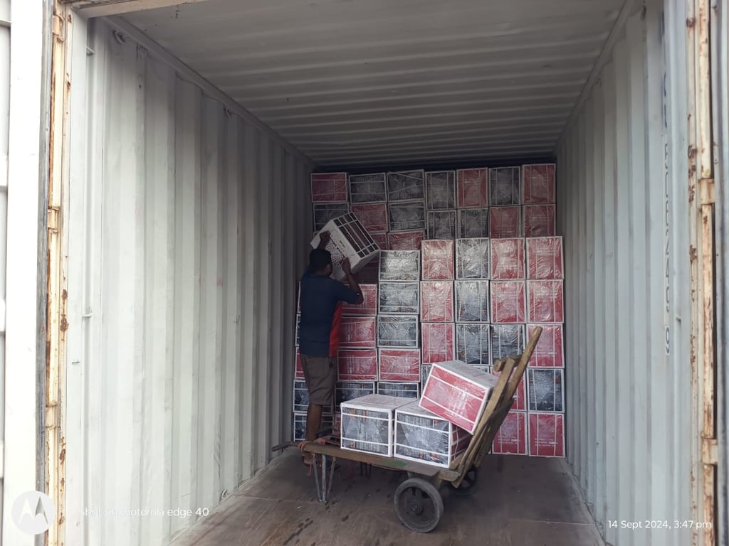 Bir Global™ Group Export