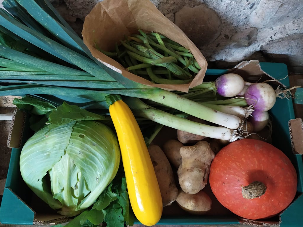 Panier de légumes bio