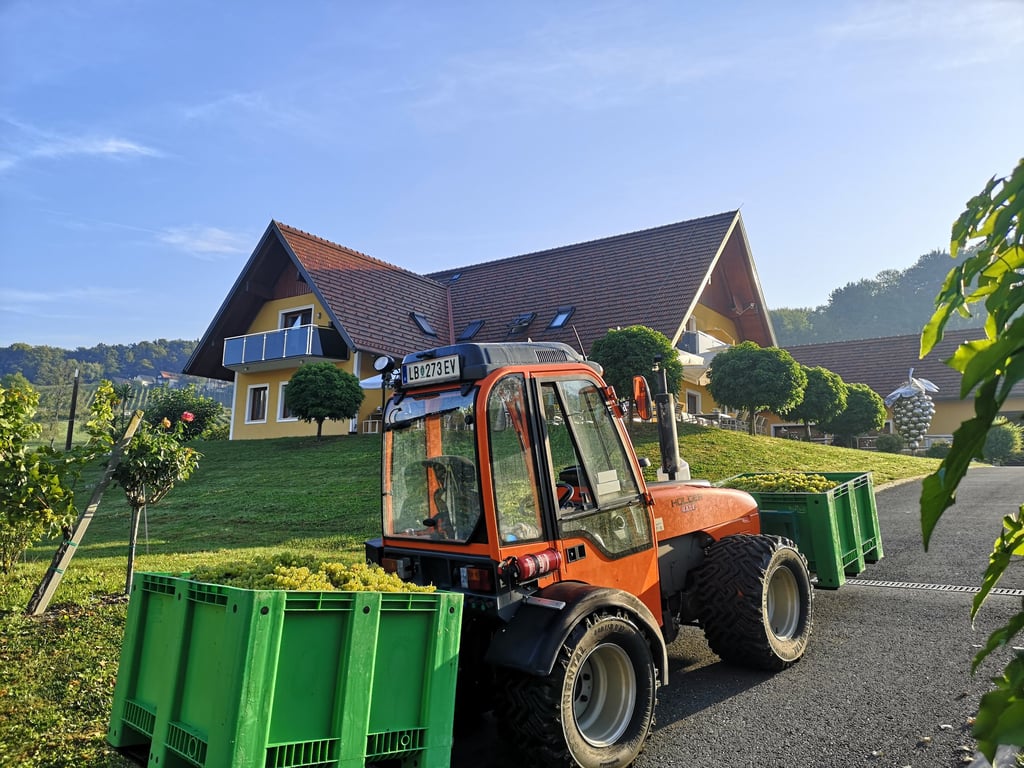 Weingarten Traktor am Betrieb