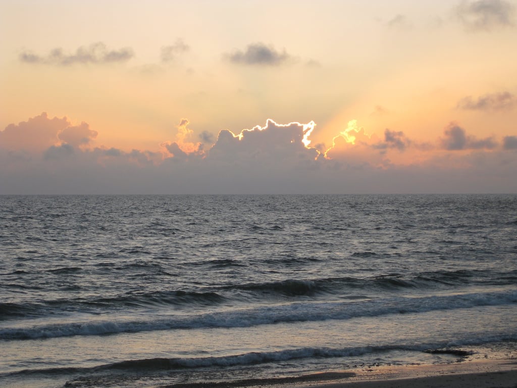 Hilfe, Hoffnung, Therapie