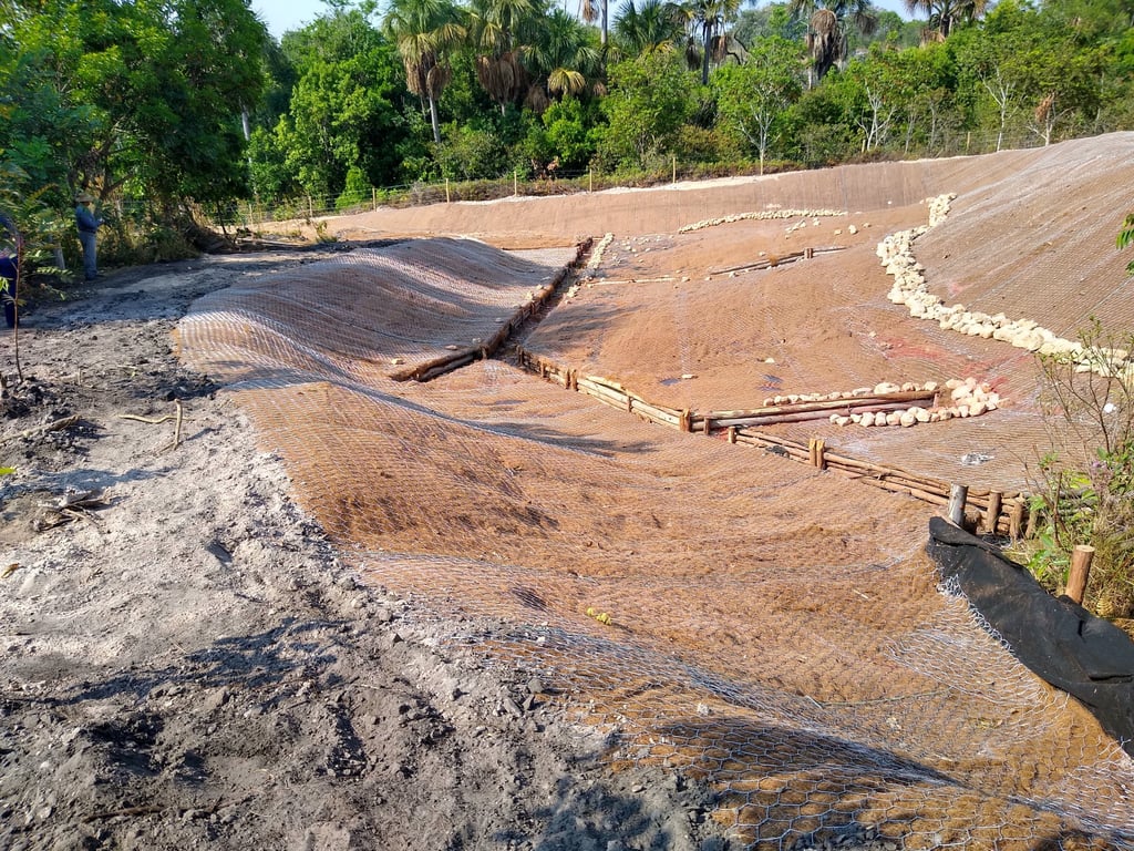 Recuperação de Áreas Degradadas