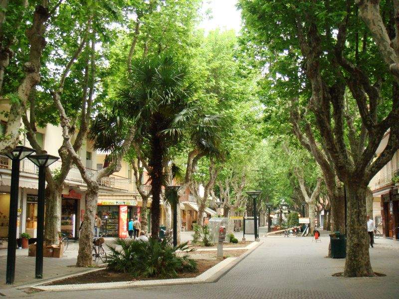 Viale dei Platani, Bellaria, vacanze al mare, offerte hotel, last minute bellaria