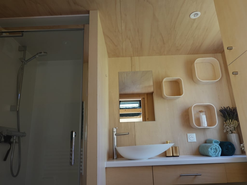 Tiny House bathroom