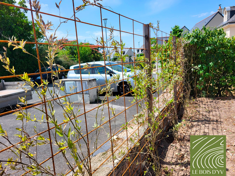 palissage en treillis soudé en fer brut