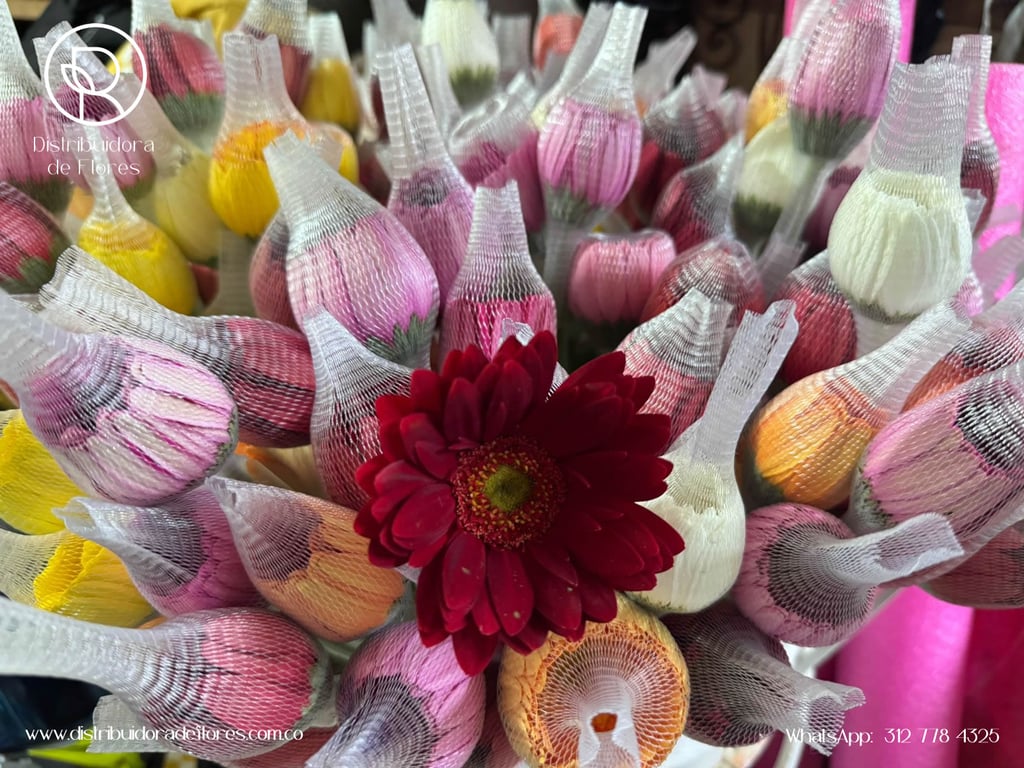 mayoristas de flores en pereira