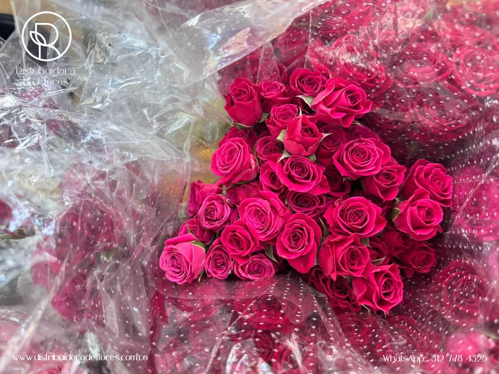 distribuidora de flores armenia