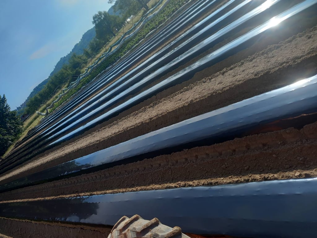 Redovi crne plastične folije za malč koji prekrivaju gredice tla na sunčanom poljoprivrednom polju z