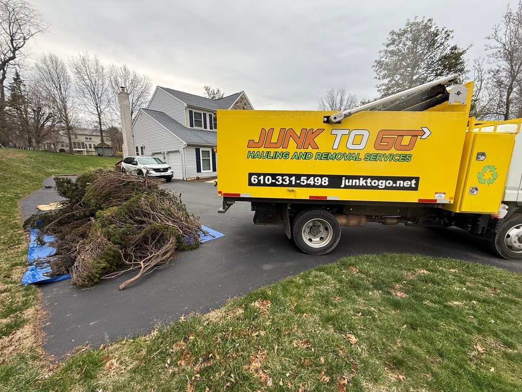 Yard debris and brush removal in East Norriton, PA.