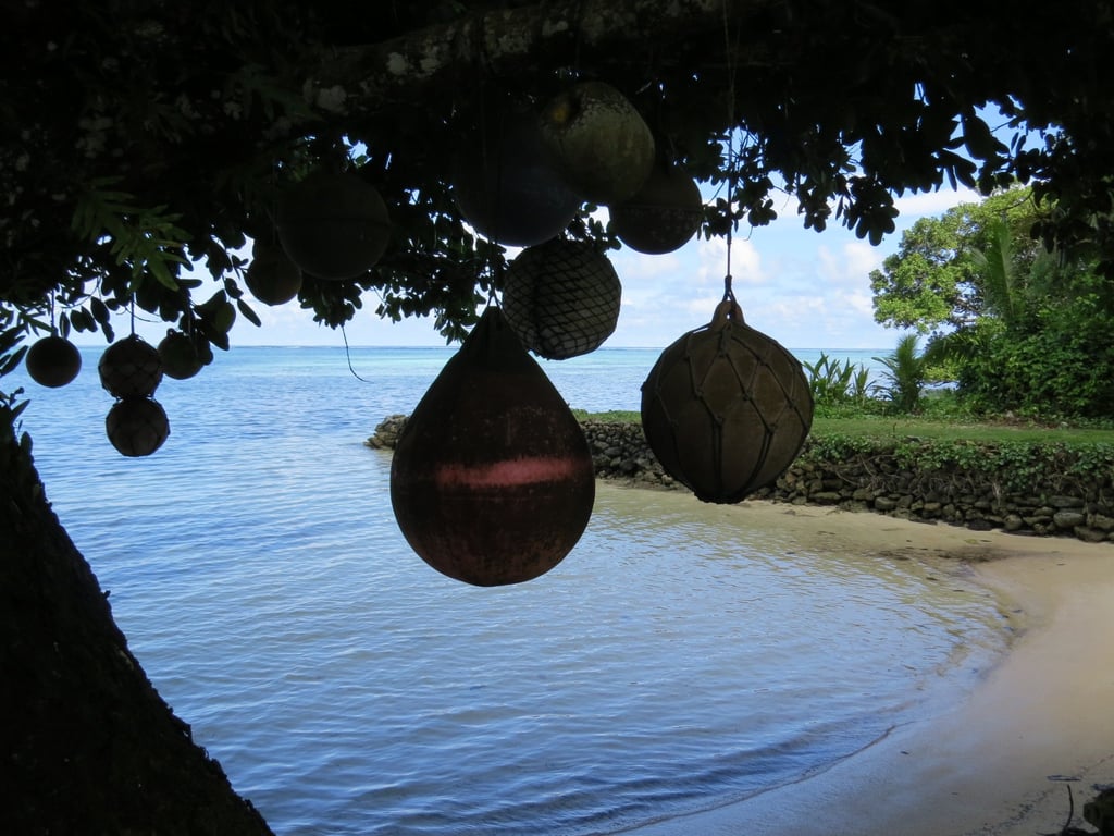 a tree with hanging floats in Palau