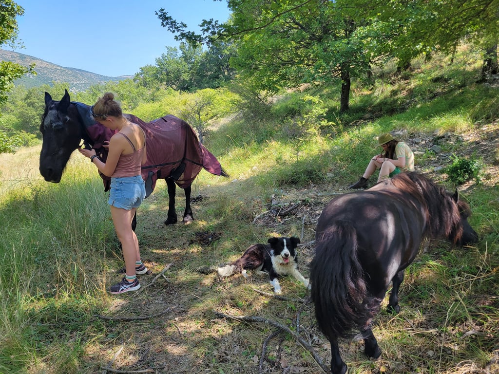 two people in a mounain landscape are hanging around with relaxed horses. One girl is drawing