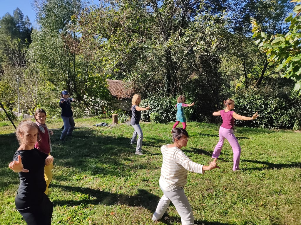 Formation Qi Gong 