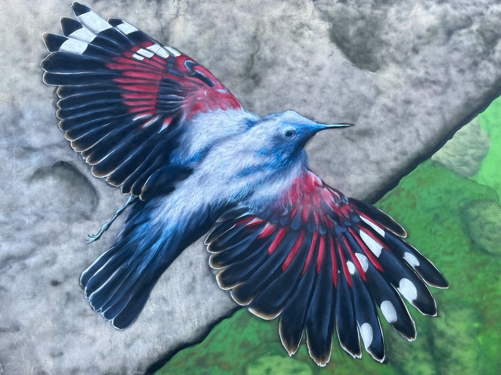 une fresque d'un tichodromes échelette