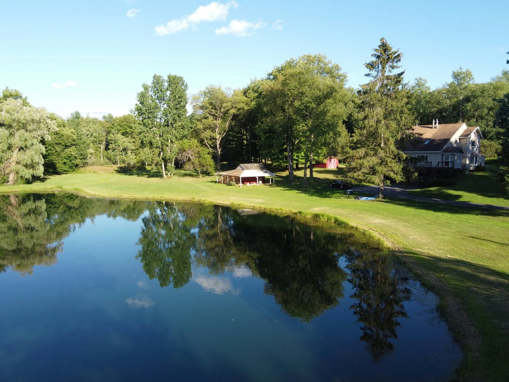 Sodyba iš paukščio skrydžio: tvenkinys ir jame atsispindintys žali medžiai.