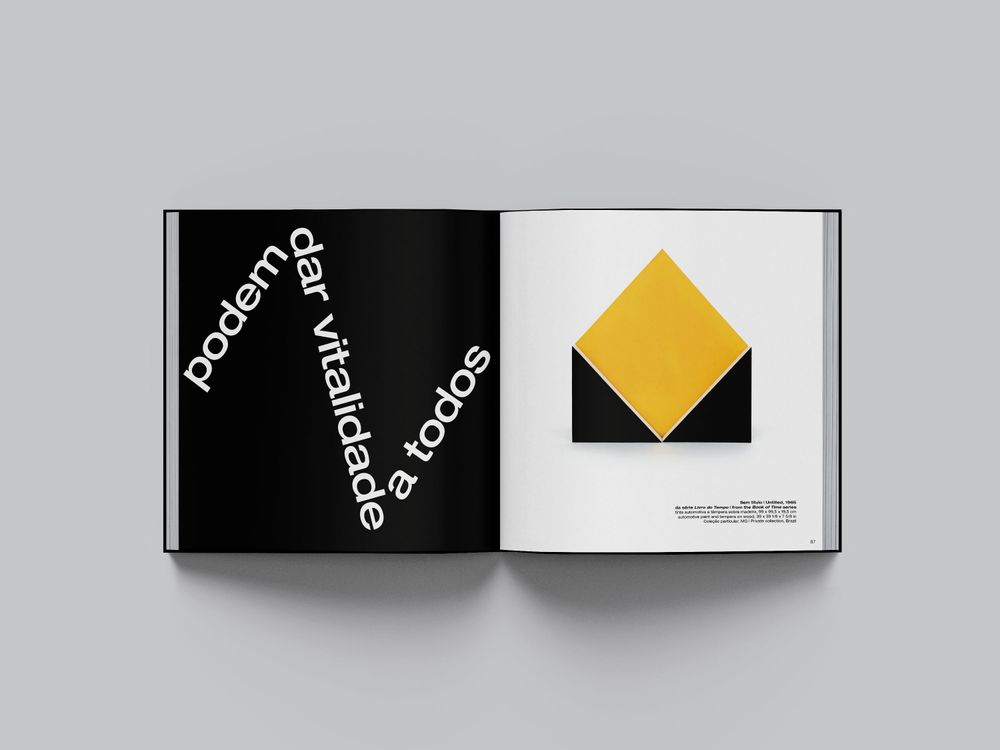 livro “Lygia Pape: ação-dentro”