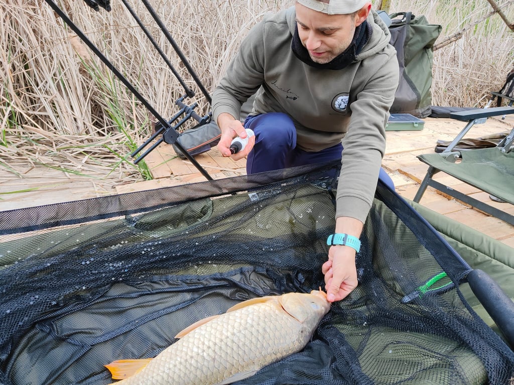 carpel fish in a fishing net
