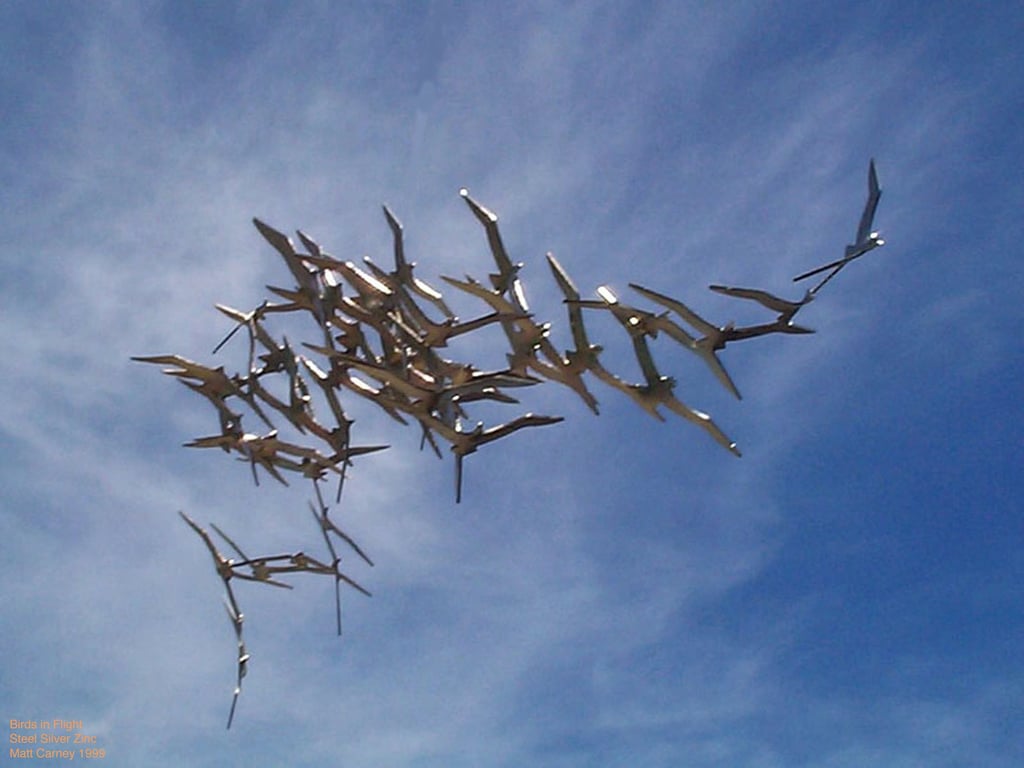 Abstract sculpture of zinc plated steel flock of  Tasmanian shearwater birds