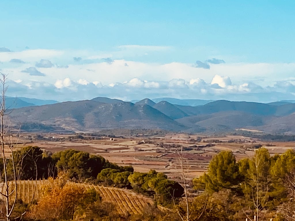 Panoramic landscape of rural agricultural fields and vineyards in a valley below rolling blue mountains.