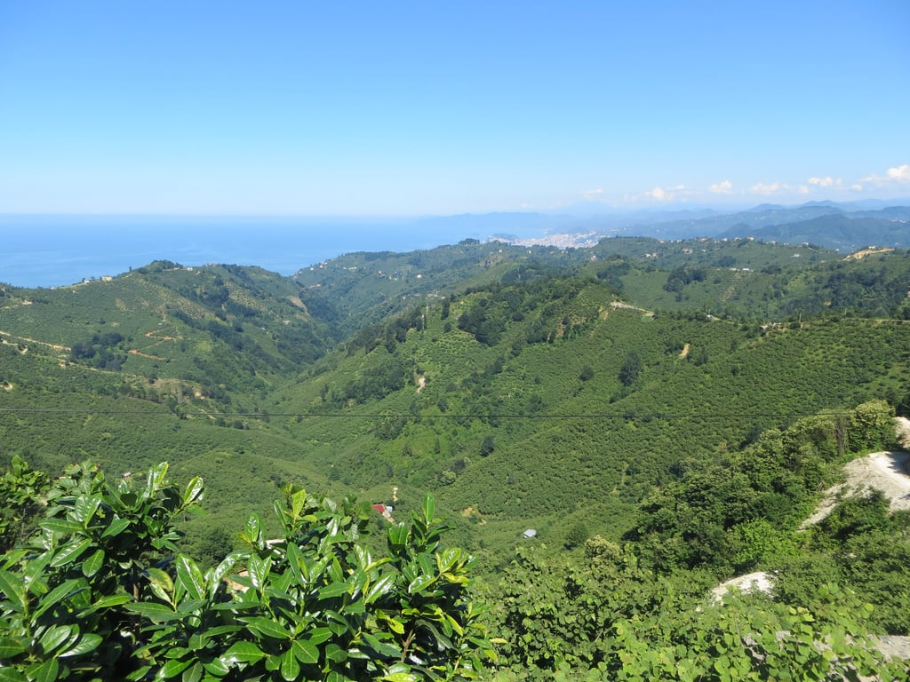 Hills around Bulancak