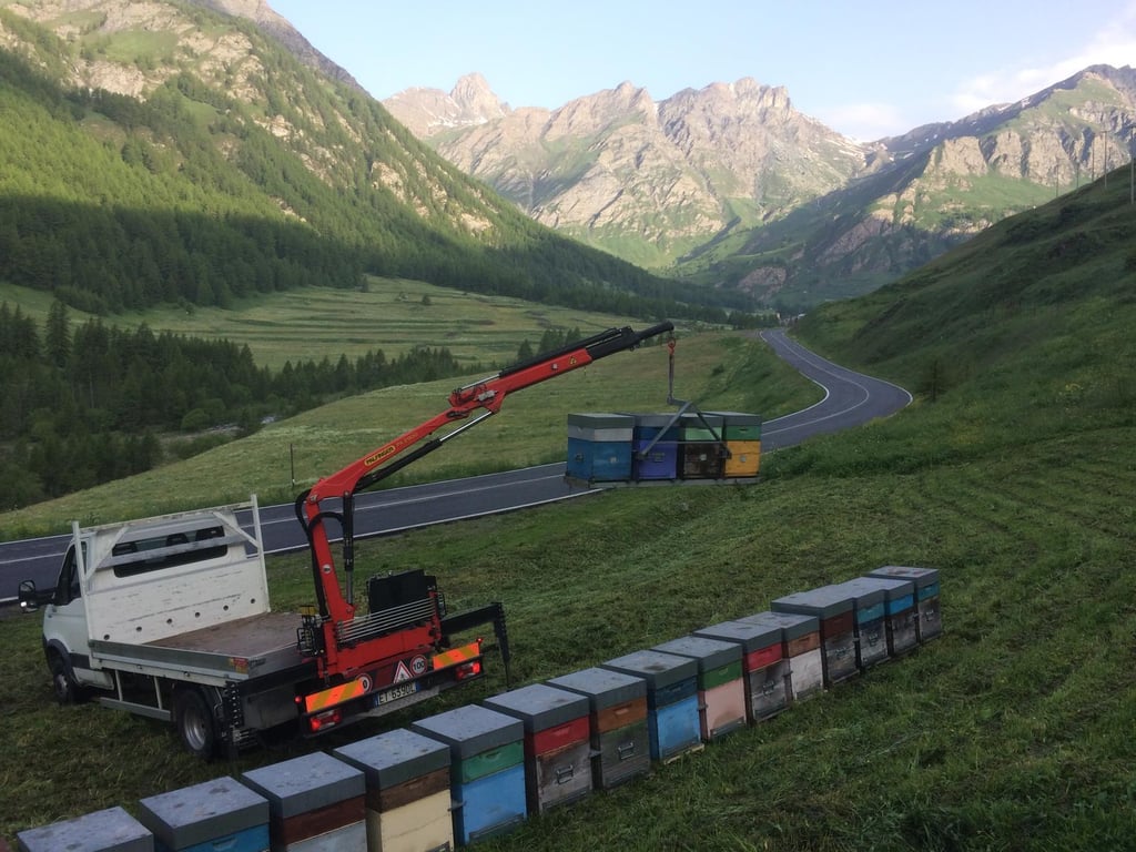 Gian Luca con il camiom gru che piazza le arnie in un prato di montagna