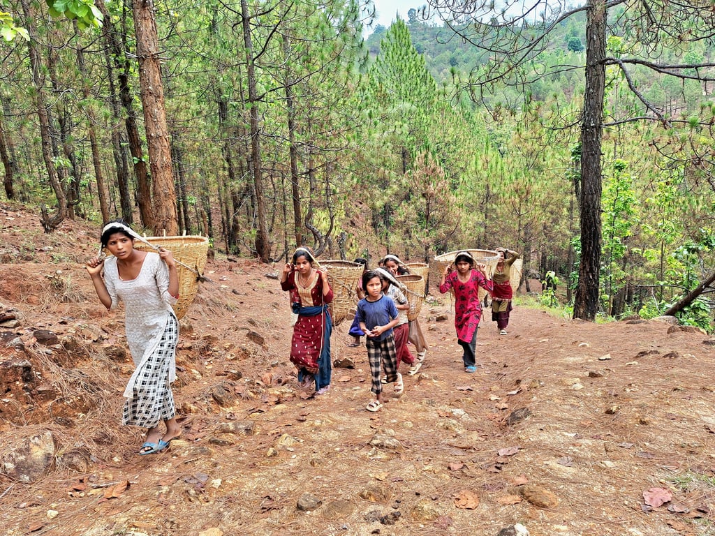Young girls in the forest to pick fruits
