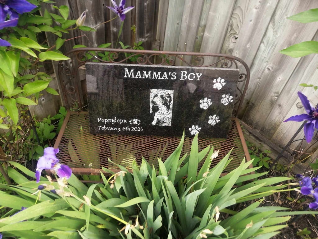 dv engravings pet memorial stone