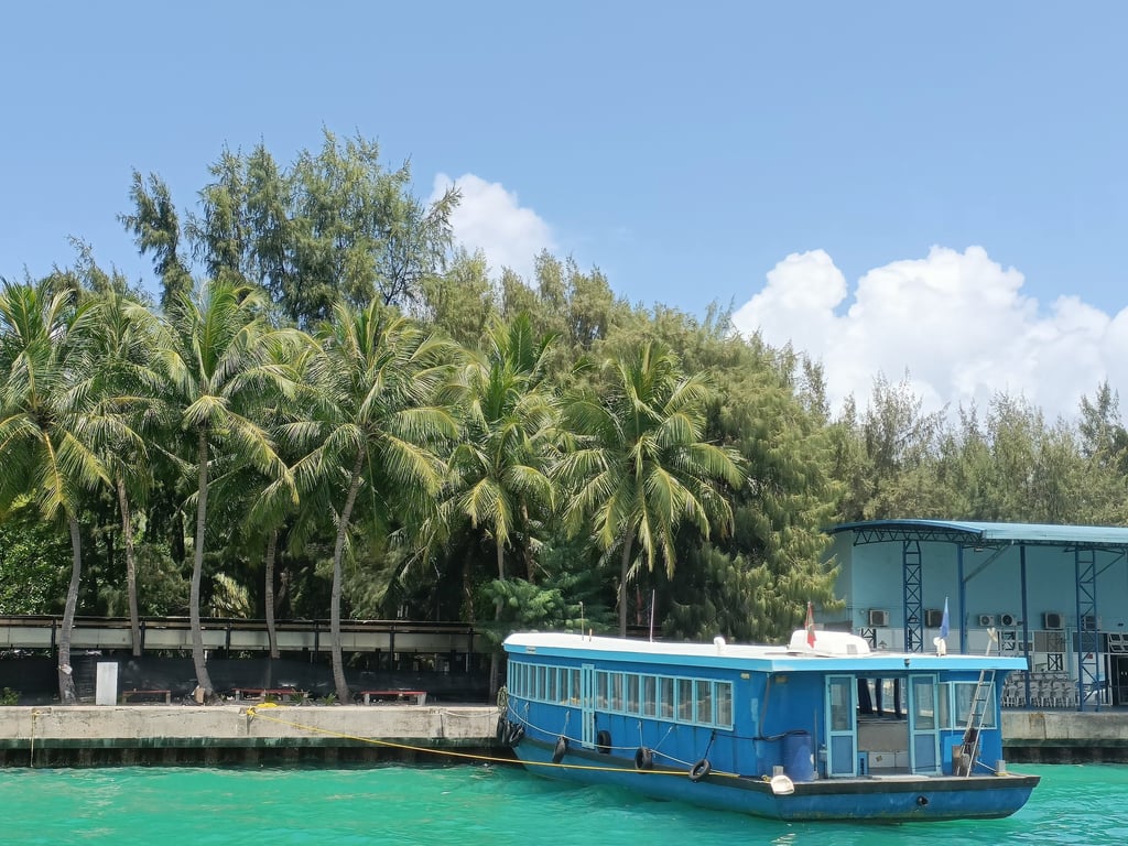 maldives palmiers eau