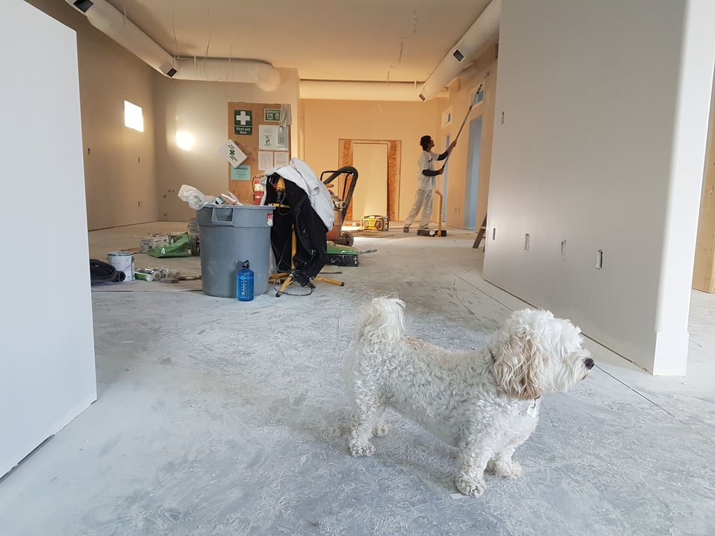 Water Damage Restoration Halifax, Dartmouth Nova Scotia Urgent