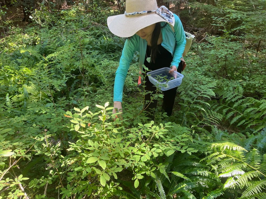 Healthy private chef huckleberries for luxury retreats glamping farm to table meals travelers Oregon