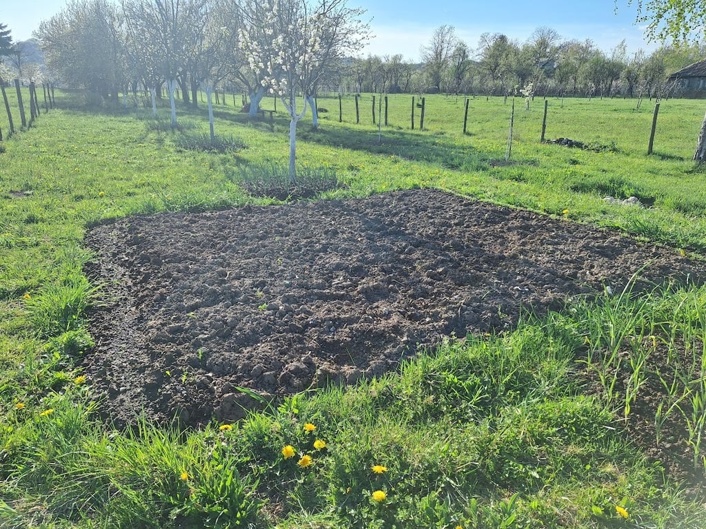 a garden with growing crops planted by seniors