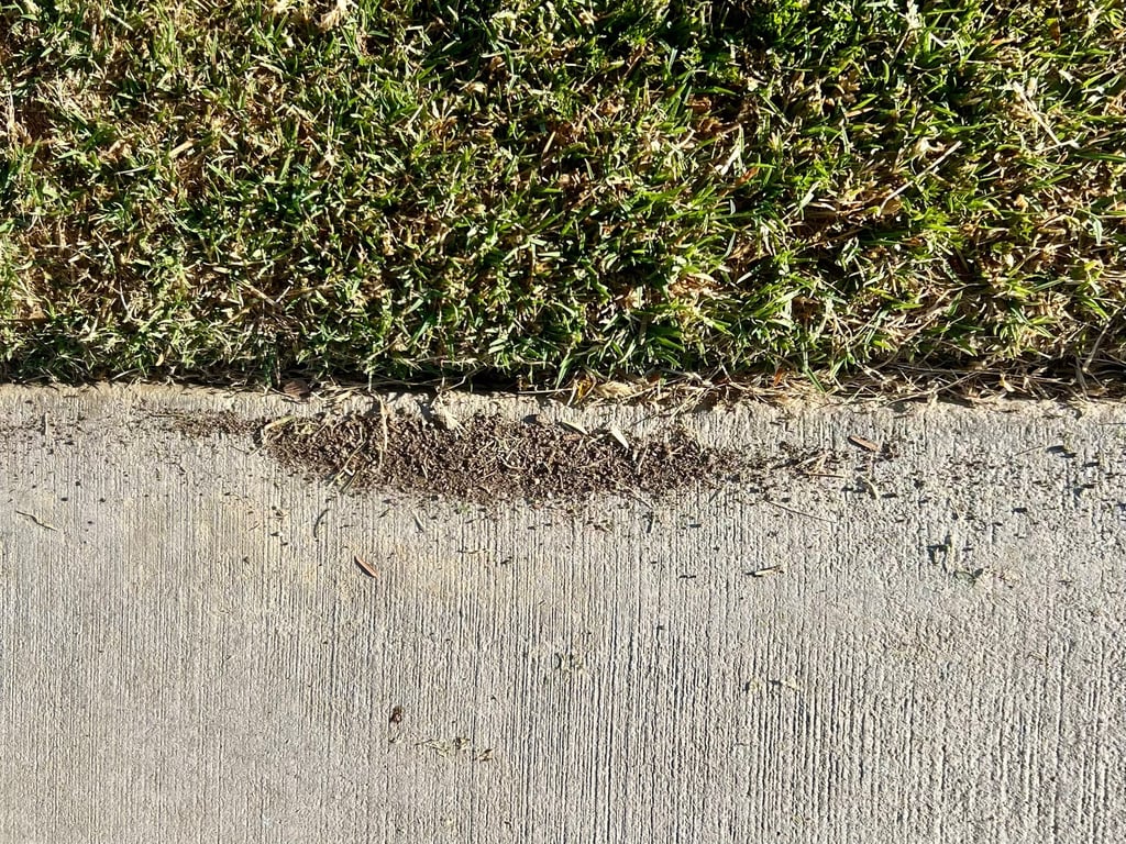 Ant control exterior service in Menifee CA and surrounding Riverside County areas by Footprint Pest Management