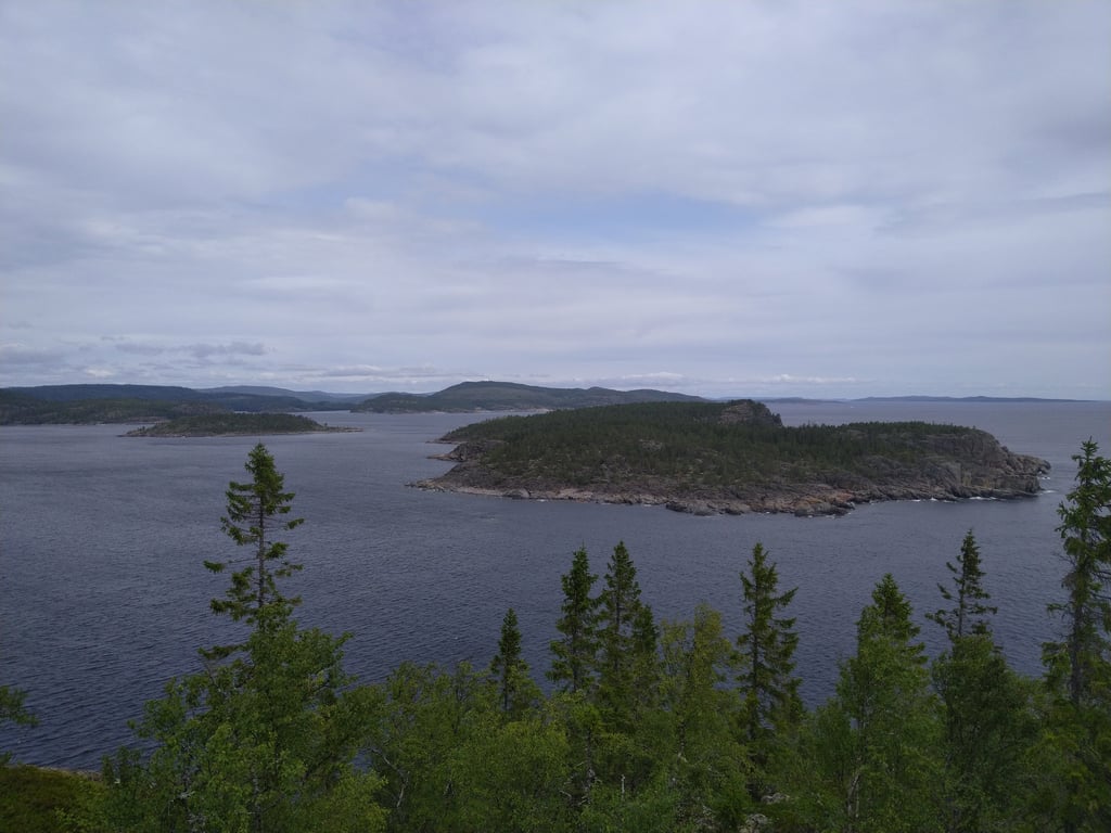 Högbonden