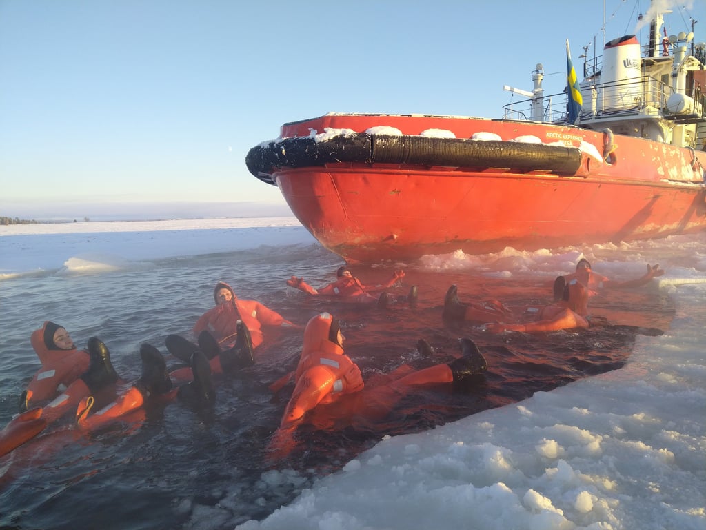 Bateau brise-glace