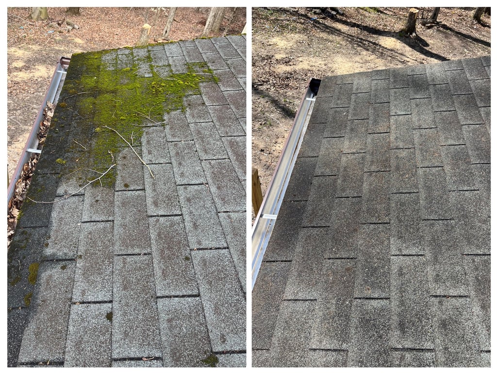 Before and after moss removal from asphalt roof shingles