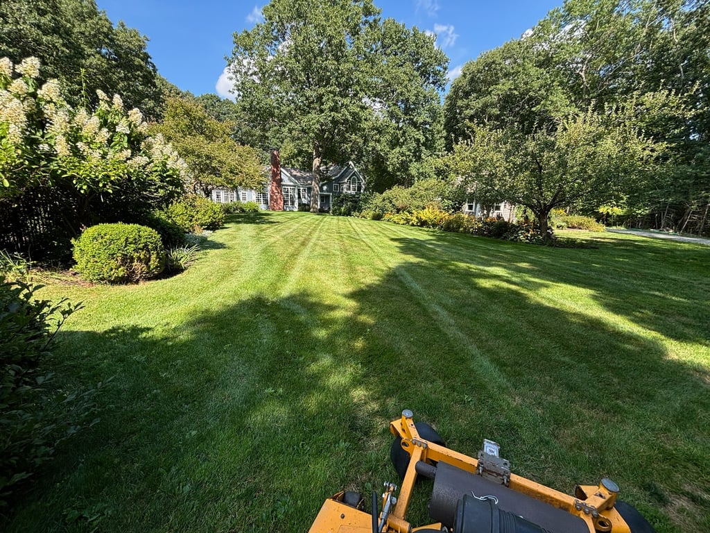 lawn-maintenance-in-north-shore-residential-yard