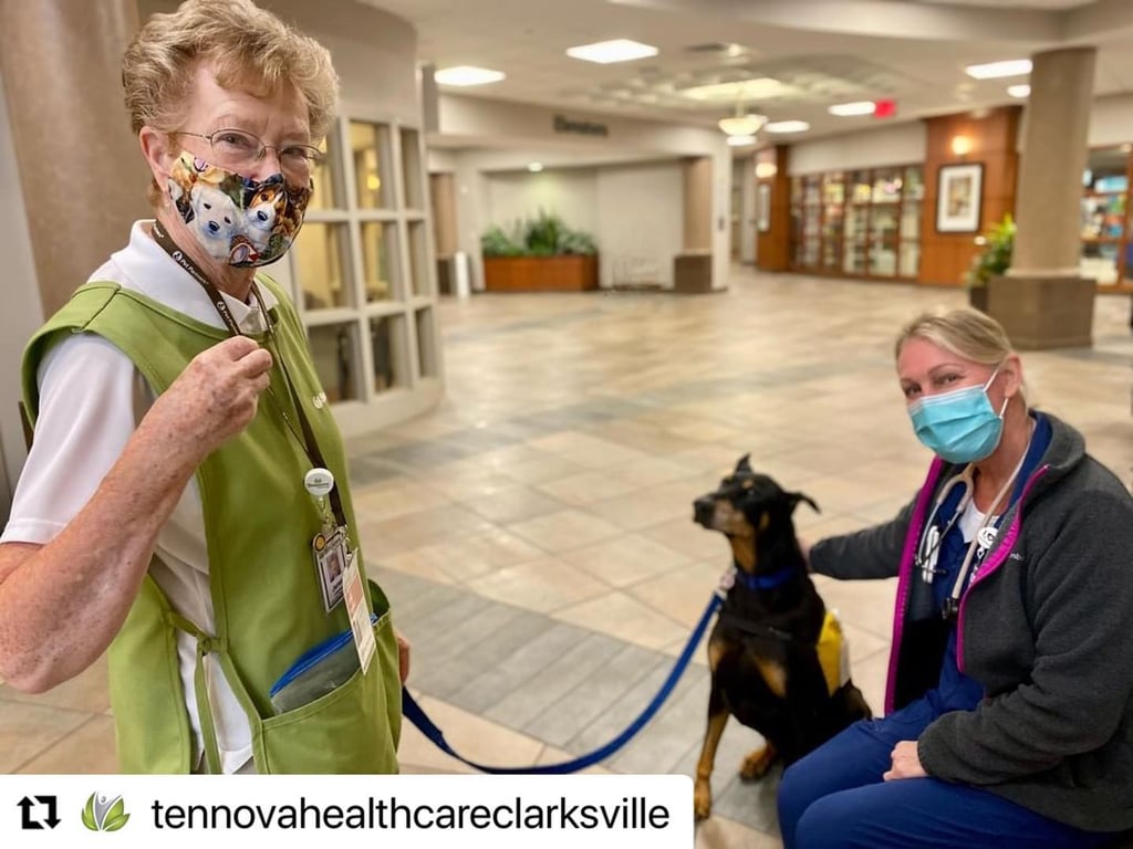 Janet and her therapy dog Bentley visit with a nurse at Tennova Healthcare.