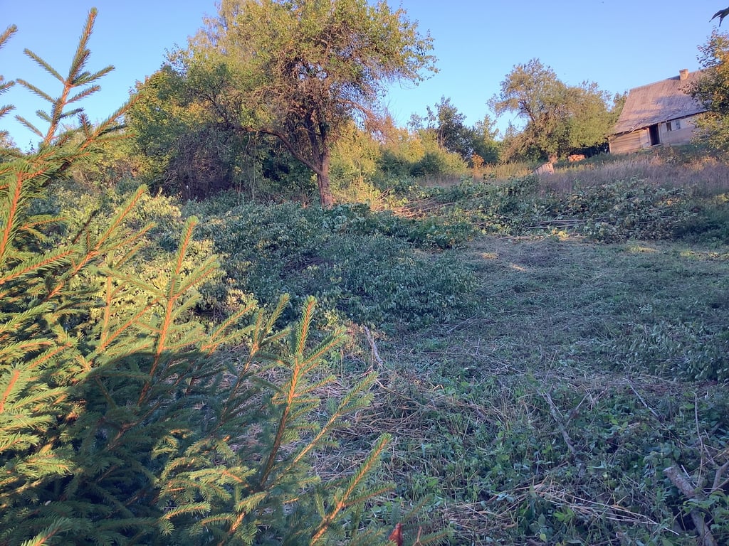 Tvarkomas apleistas sklypas, pjaunami krūmai