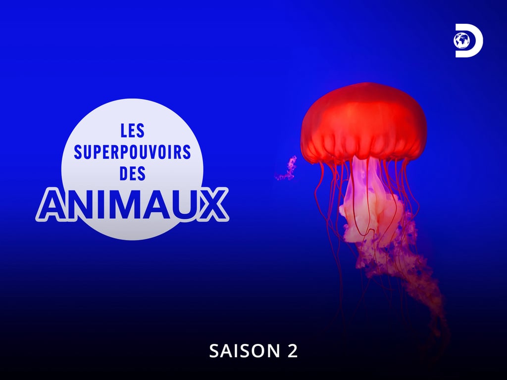 les superpouvoirs des animaux