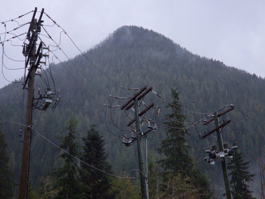 Power Line Vegetation Maintenance