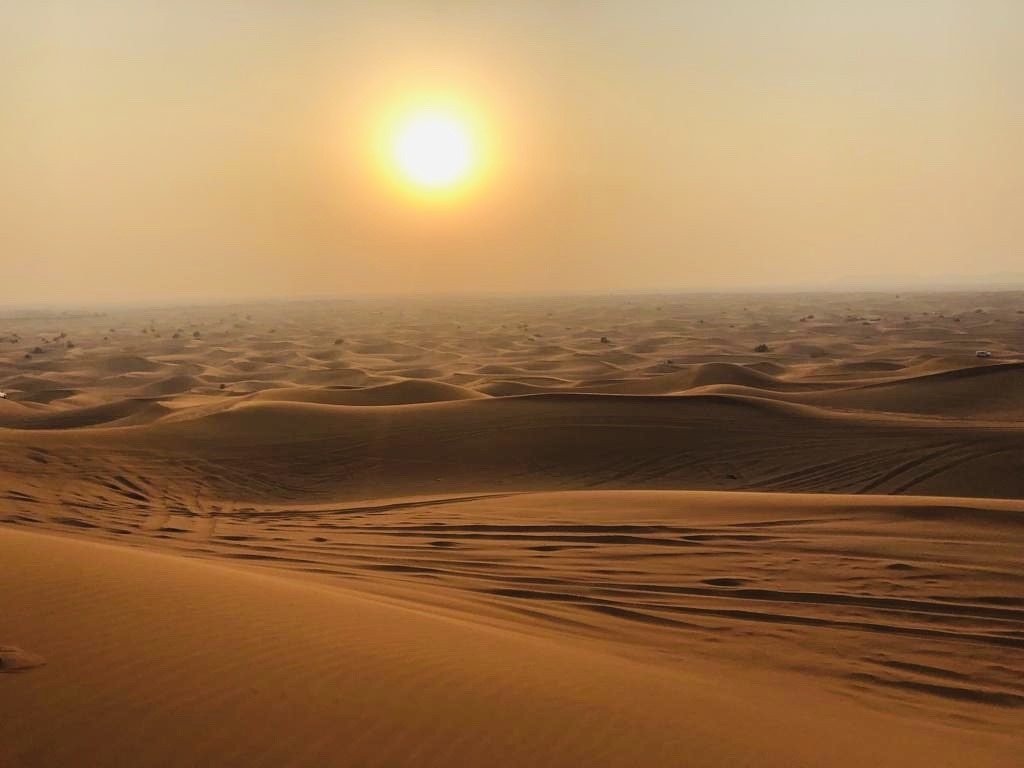 positiv'in coaching de vie psychologie positive objectif changement bonheur résilience