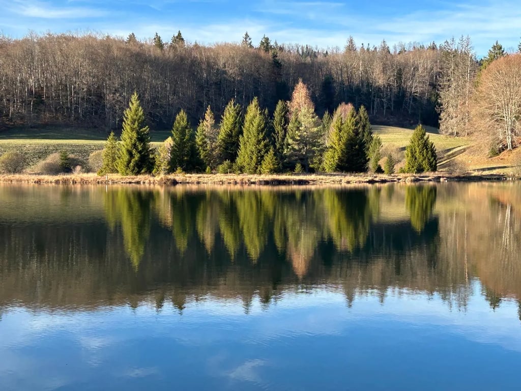 Accompagnement traumatisme et EMDR Neuville sur Ain, cabinet Sandrine Dupin